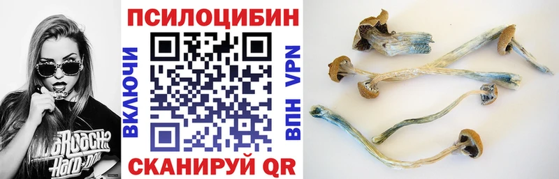Галлюциногенные грибы мухоморы Купить Туран